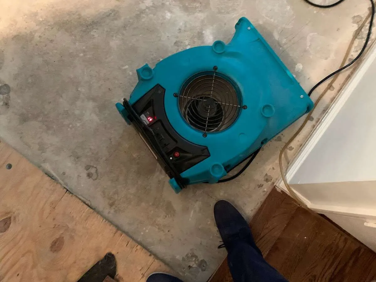 Air mover drying subfloor during Commercial Water Damage Restoration in Portland
